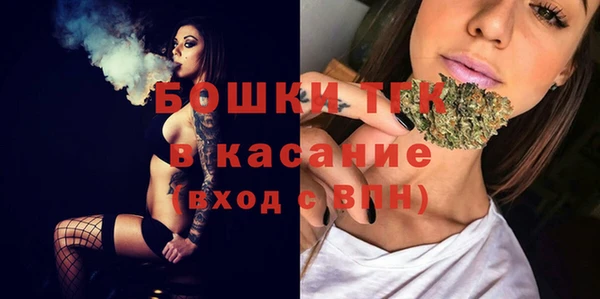 стаф Аркадак