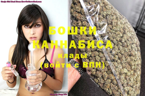 стаф Аркадак