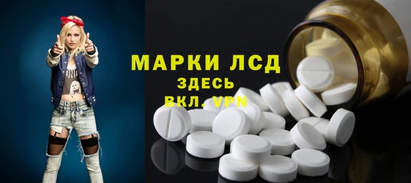 стаф Аркадак