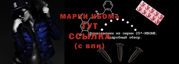 стаф Аркадак
