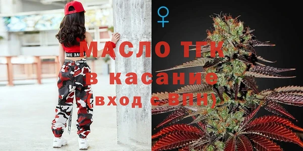 стаф Аркадак