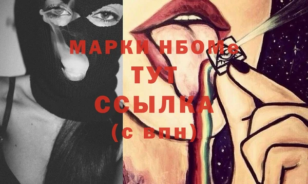 стаф Аркадак