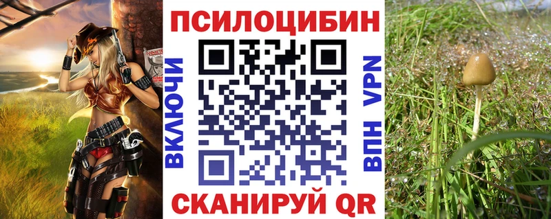 Псилоцибиновые грибы мухоморы  закладка  omg зеркало  Хасавюрт 