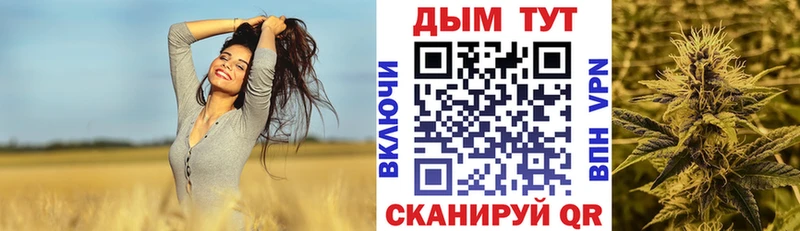 MEGA ссылки  даркнет сайт  Хасавюрт  Шишки марихуана сатива 